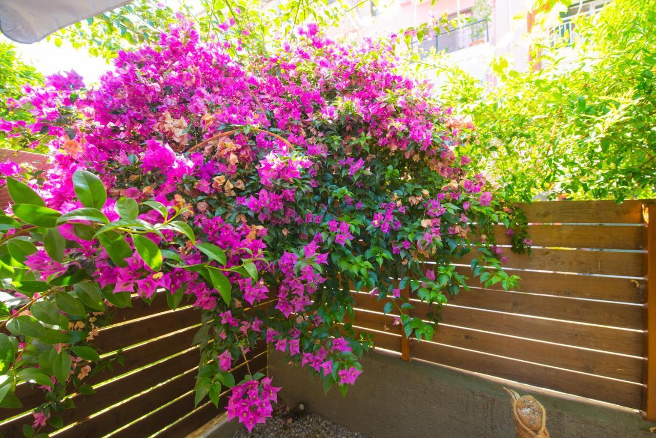 Casa Dina Apartment Lefkada City Exterior photo