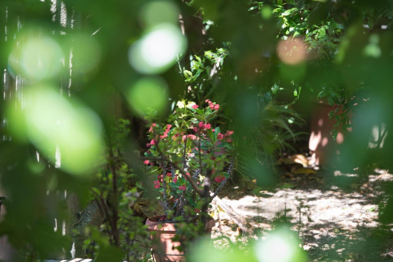 Casa Dina Apartment Lefkada City Exterior photo